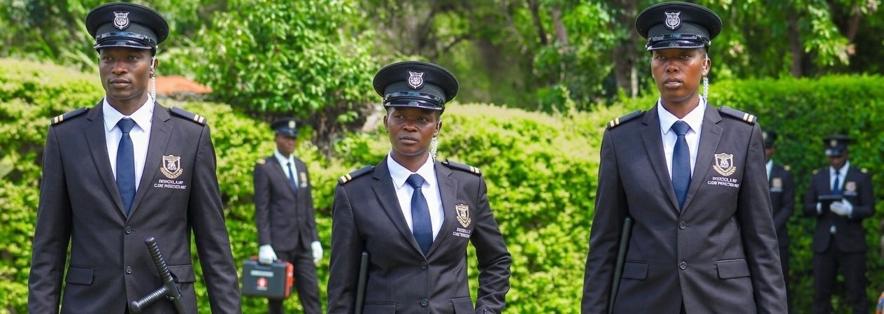 Protocol & VIP Security